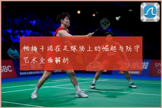 帕梅卡诺在足球场上的崛起与防守艺术全面解析